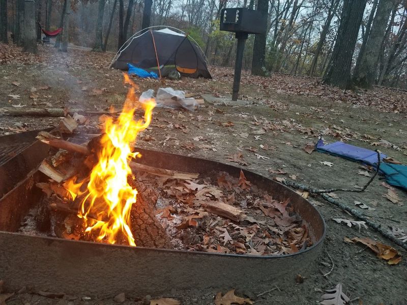 Camping Under the Ozark Canopy