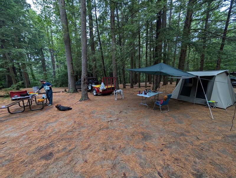 Camping at Bear Brook and the Nighttime Visitors Nobody Warned You About Camping at Bear Brook and the Nighttime Visitors Nobody Warned You About