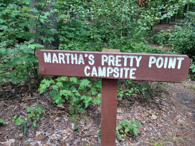 Camping in the Backcountry: What to Expect Camping in the Backcountry: What to Expect