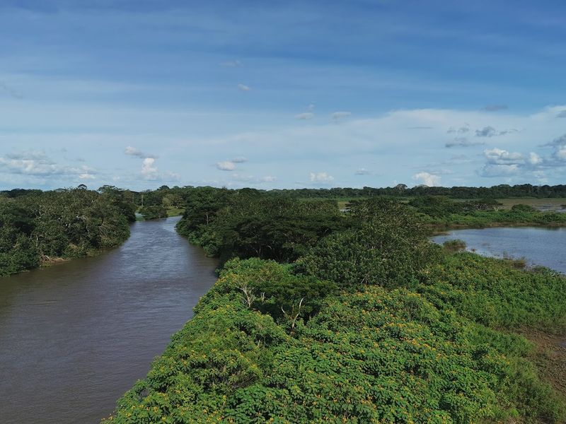 Cano Negro Wildlife Refuge, Alajuela Province, Costa Rica