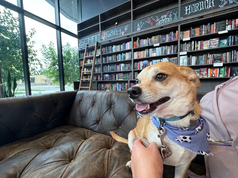 Captain Jack and the Dog-Friendly Policy That Readers Love Captain Jack and the Dog-Friendly Policy That Readers Love