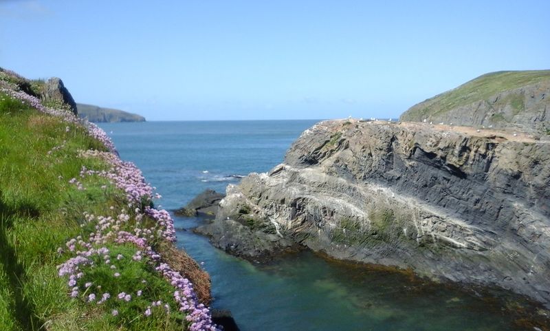 Cardigan Bay, Ceredigion, Wales, United Kingdom