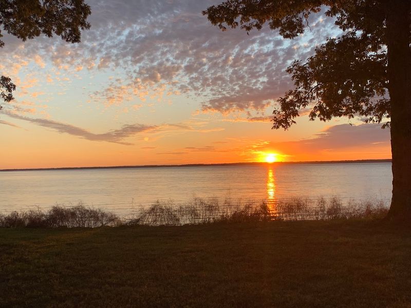 Carlyle Lake: The Star of the Show Carlyle Lake: The Star of the Show