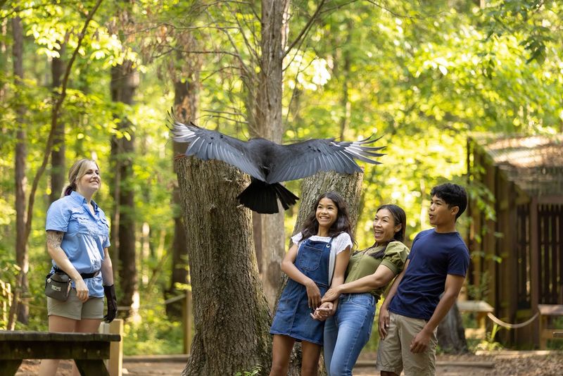 Carolina Raptor Center, Huntersville, North Carolina Carolina Raptor Center, Huntersville, North Carolina
