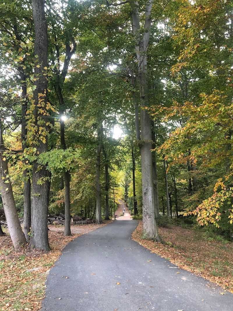 Carousel Park And Equestrian Center, Wilmington, Delaware