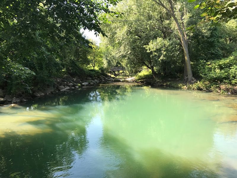 Cascade Creek, the Pond, and the Natural Features Worth Seeking Out Cascade Creek, the Pond, and the Natural Features Worth Seeking Out