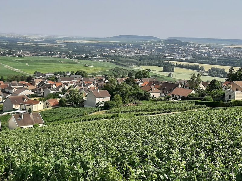 Champagne Region