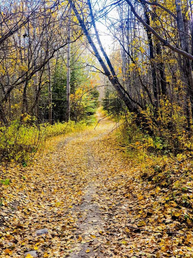 Chapleau, Ontario Chapleau, Ontario