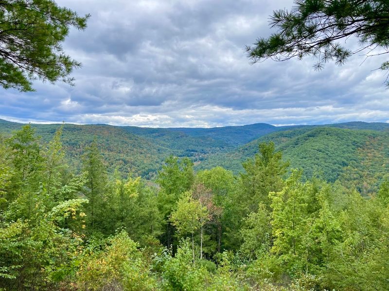 Chester-Blandford State Forest, Chester and Blandford, Massachusetts