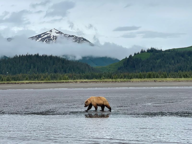 Chinitna Bay, Lake Clark National Park, Alaska, USA Chinitna Bay, Lake Clark National Park, Alaska, USA