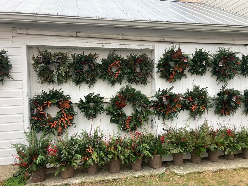 Christmas Wreaths and Holiday Magic in November and December