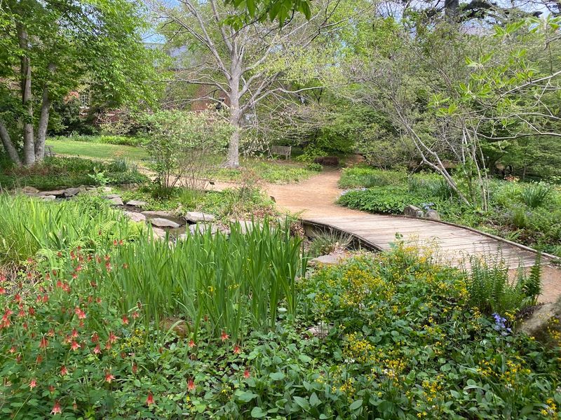Coker Arboretum — Chapel Hill, North Carolina
