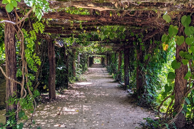 Coker Arboretum — Chapel Hill, North Carolina