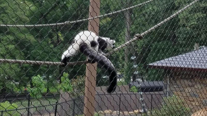 Conservation Work That Goes Far Beyond the Fences Conservation Work That Goes Far Beyond the Fences