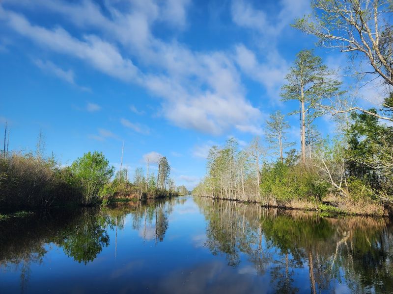 Conservation and Why This Place Still Exists Conservation and Why This Place Still Exists