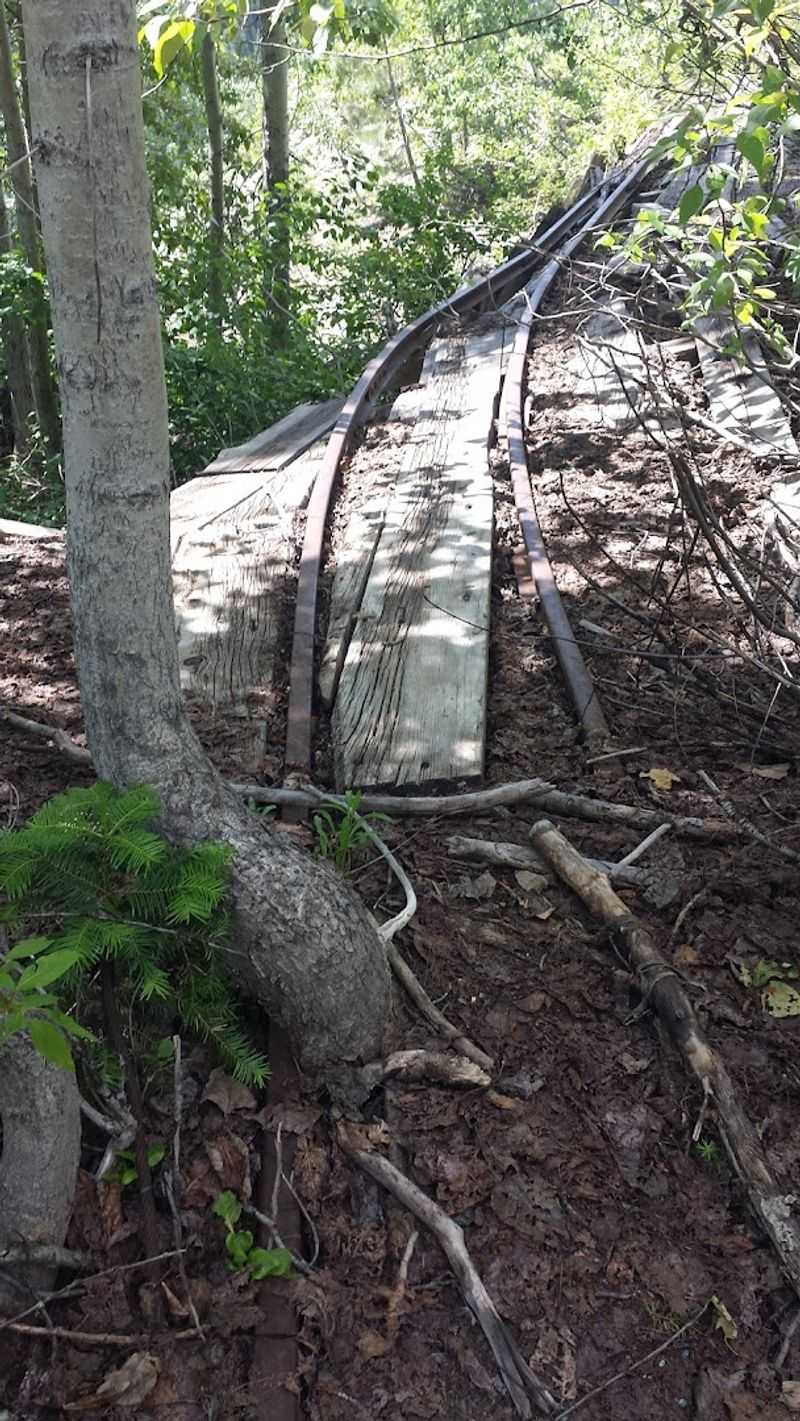 Cornucopia Mine Site — Gold, Glory, and an Incredible Mountain Hike