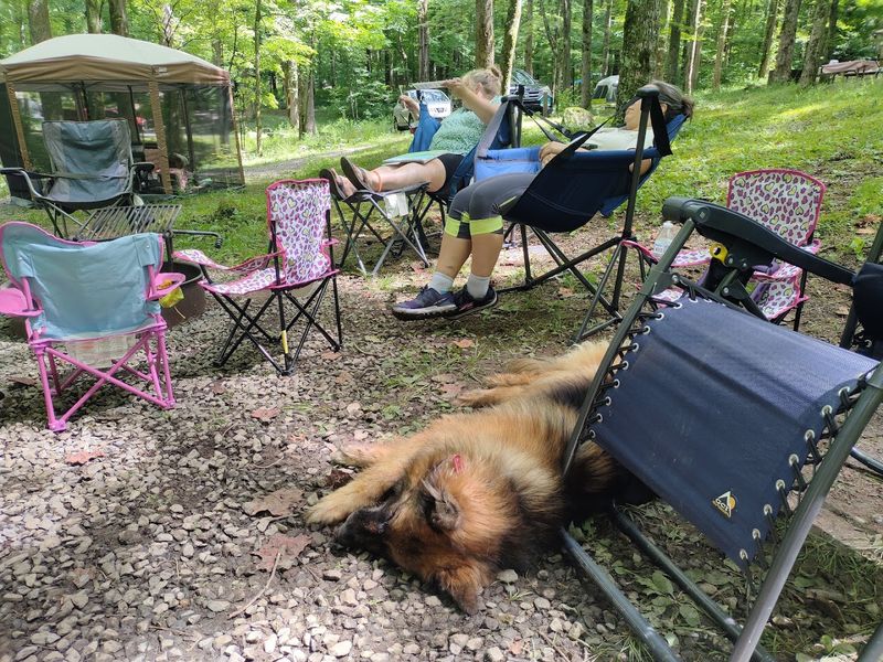 Cosby Campground, Cosby, Tennessee Cosby Campground, Cosby, Tennessee