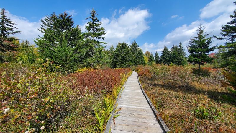Cranberry Glades Botanical Area, Hillsboro, West Virginia Cranberry Glades Botanical Area, Hillsboro, West Virginia