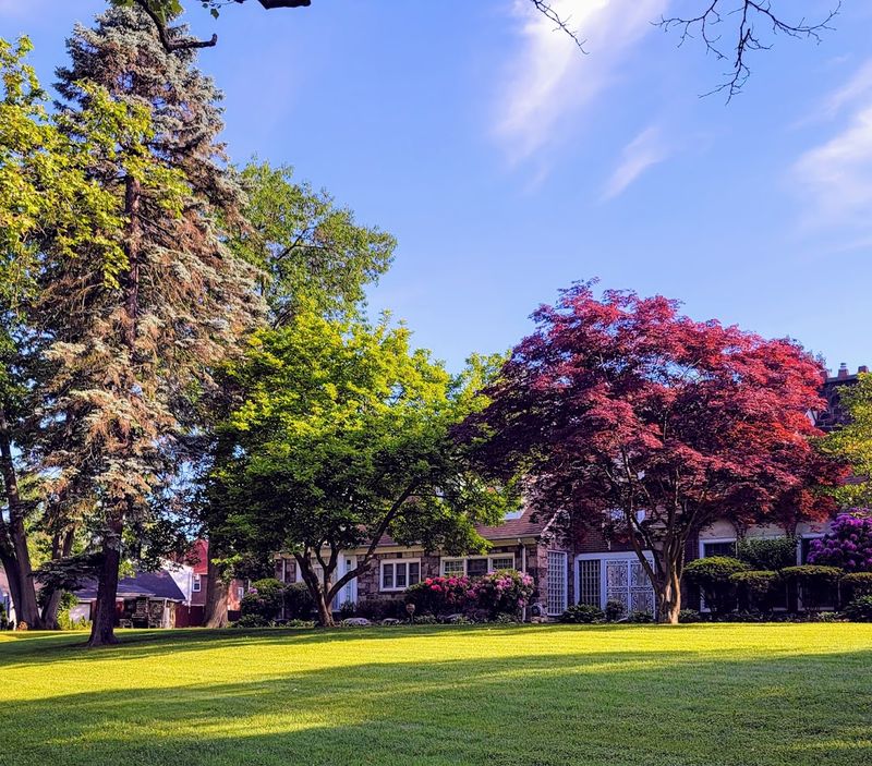 Crandall Park Historic Homes Spin