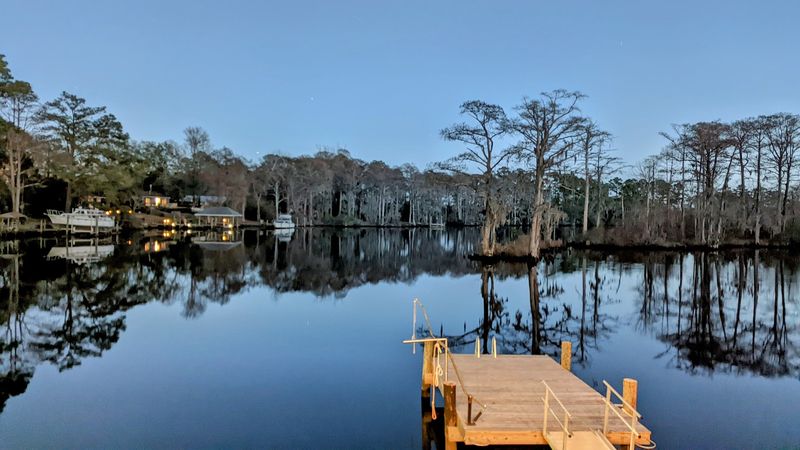 Croatan National Forest: Wild North Carolina at Its Best Croatan National Forest: Wild North Carolina at Its Best