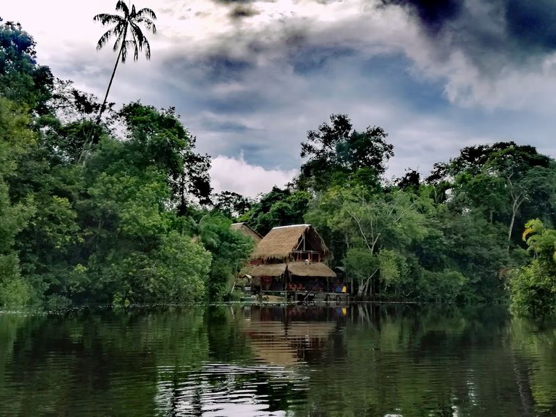 Cuyabeno Wildlife Reserve, Sucumbíos, Ecuador