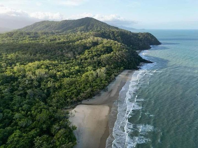 Daintree Rainforest, Queensland, Australia Daintree Rainforest, Queensland, Australia
