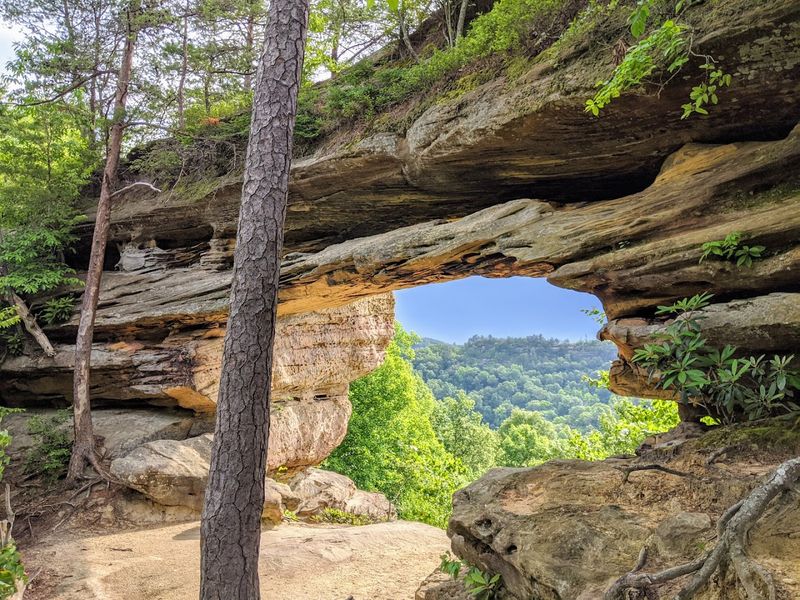 Daniel Boone National Forest — Kentucky