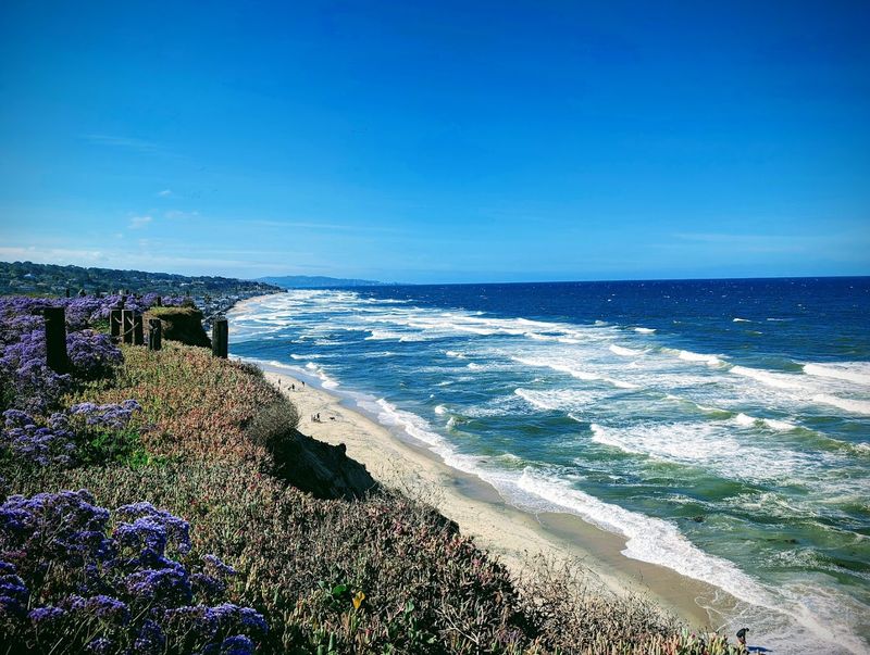 Del Mar Dog Beach, California