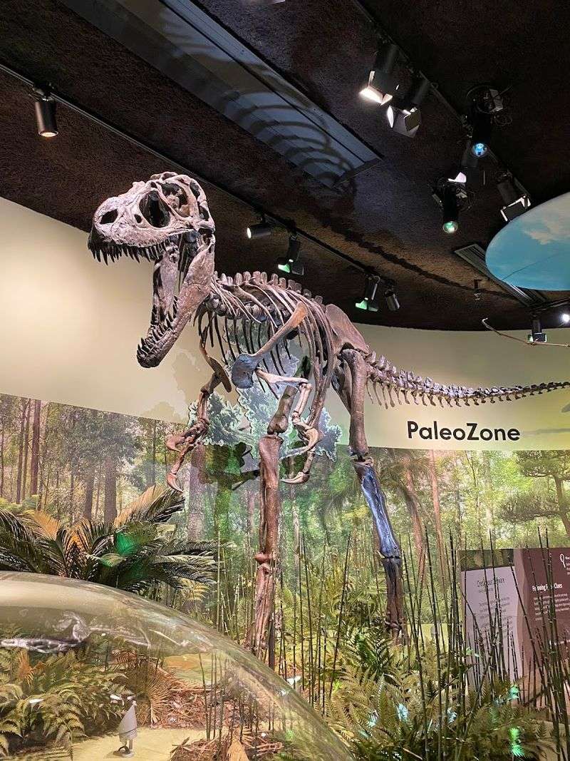 Delaware Museum of Nature & Science, Wilmington, Delaware Delaware Museum of Nature & Science, Wilmington, Delaware