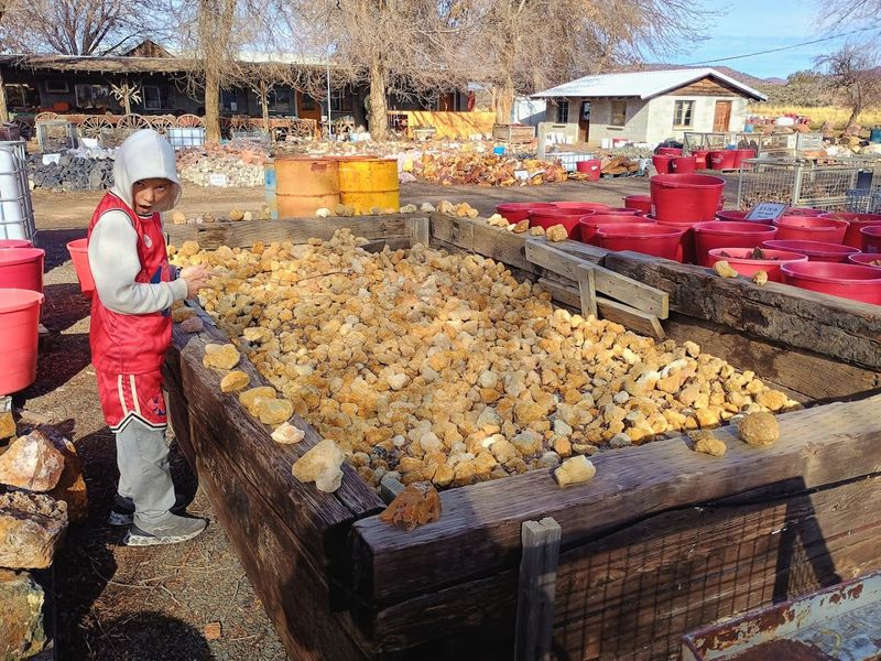 Digging for Thundereggs in the Pits