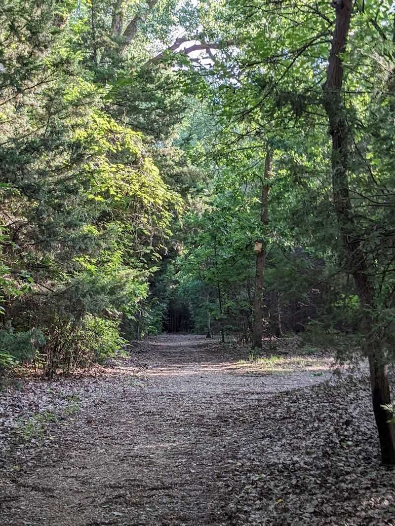Dillon Nature Center, Hutchinson, Kansas