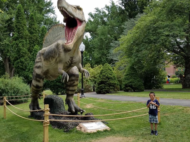 Dinosaurs, Taxidermy, and Natural History Wonders Dinosaurs, Taxidermy, and Natural History Wonders