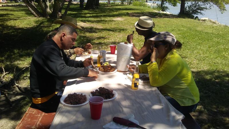 Disc Golf, Picnicking, and the Extras Worth Knowing About Disc Golf, Picnicking, and the Extras Worth Knowing About
