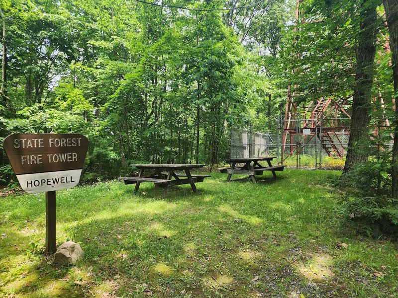 Disc Golf, Picnics, and the Little Extras That Add Up Disc Golf, Picnics, and the Little Extras That Add Up