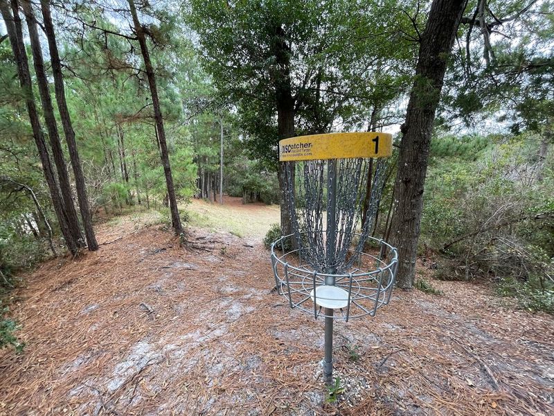 Disc Golf Through the Trees: A 9-Hole Island Course Disc Golf Through the Trees: A 9-Hole Island Course