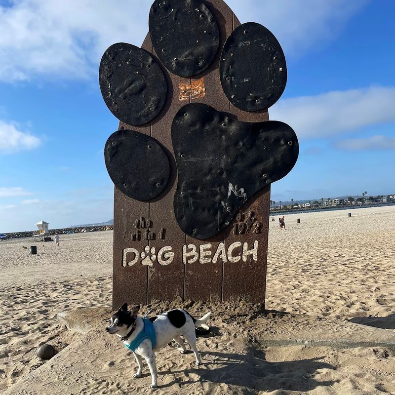 Dog Beach at Ocean Beach, San Diego, California