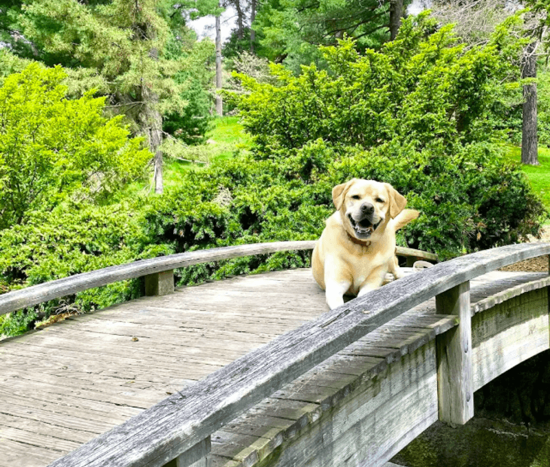 Dog-Friendly and Family-Ready Grounds Dog-Friendly and Family-Ready Grounds