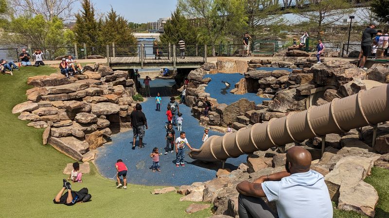 Dogs, Families, and the Playground Next Door