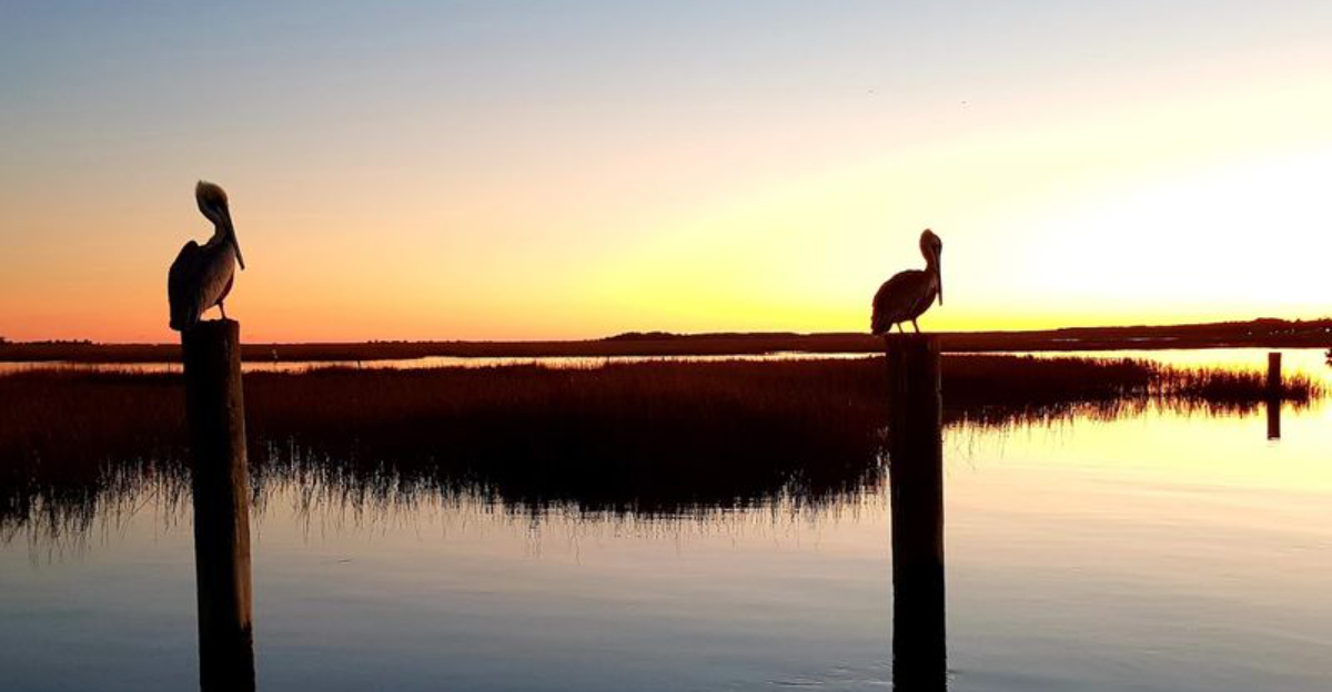 Dolphins, Fresh Seafood, And Stunning Sunsets Await At This Coastal Destination