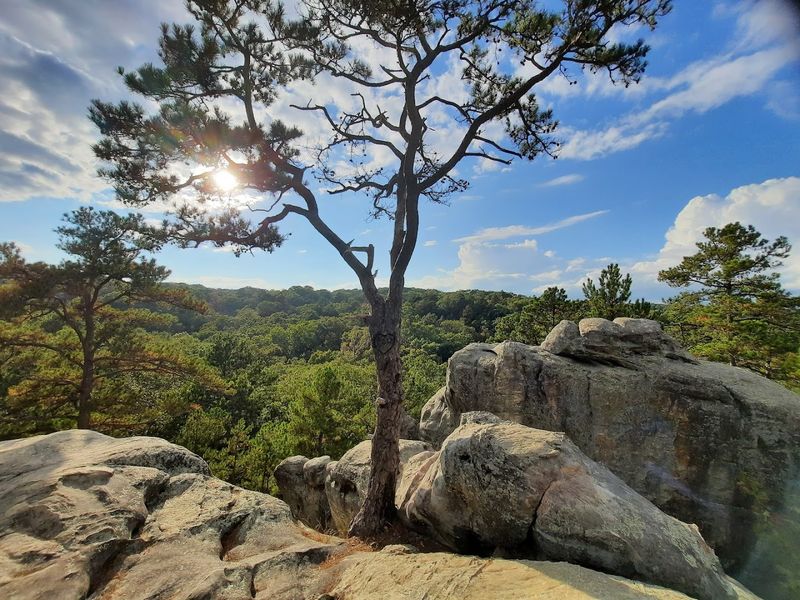 Dome Rock and Piney Glade: Two Spots That Steal the Show