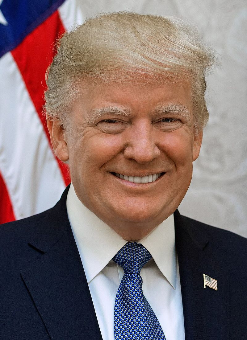 Donald Trump: Reality TV Star Becomes Commander in Chief