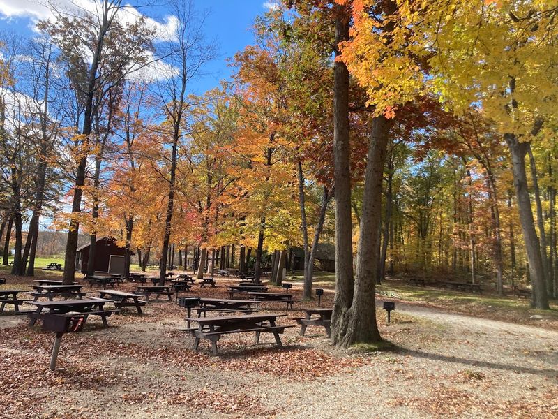 Douglas State Forest, Douglas, Massachusetts
