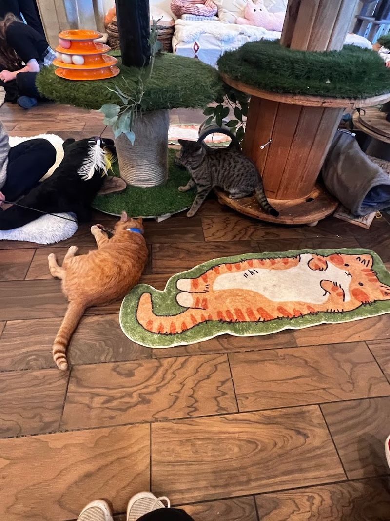 Drinks That Warm You Up Before the Cats Do Drinks That Warm You Up Before the Cats Do