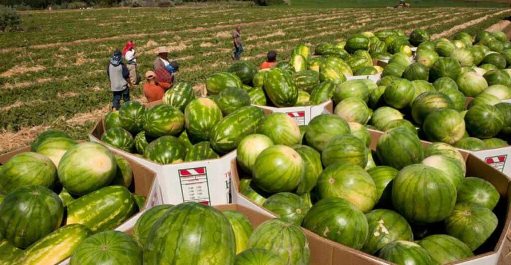 Each Year, This Oregon Town Celebrates Watermelon Season in a Big Way