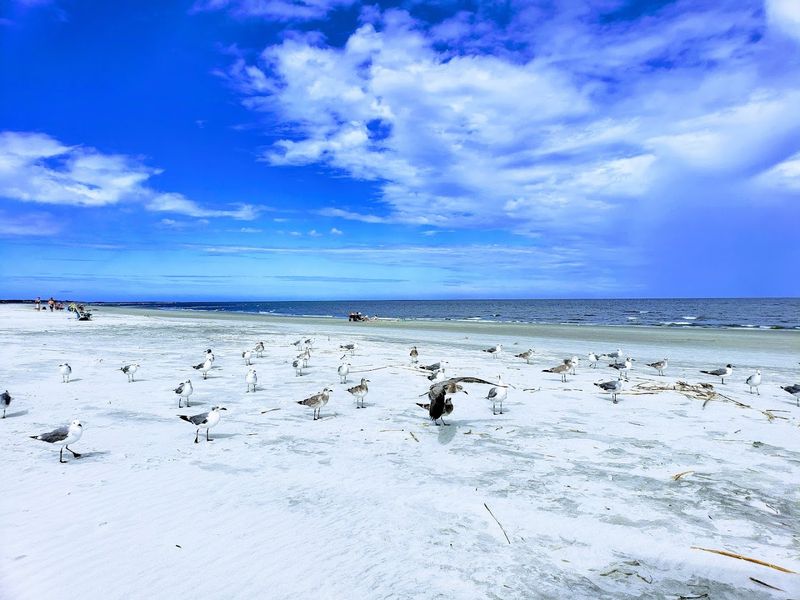 East Beach, St. Simons Island, Georgia East Beach, St. Simons Island, Georgia