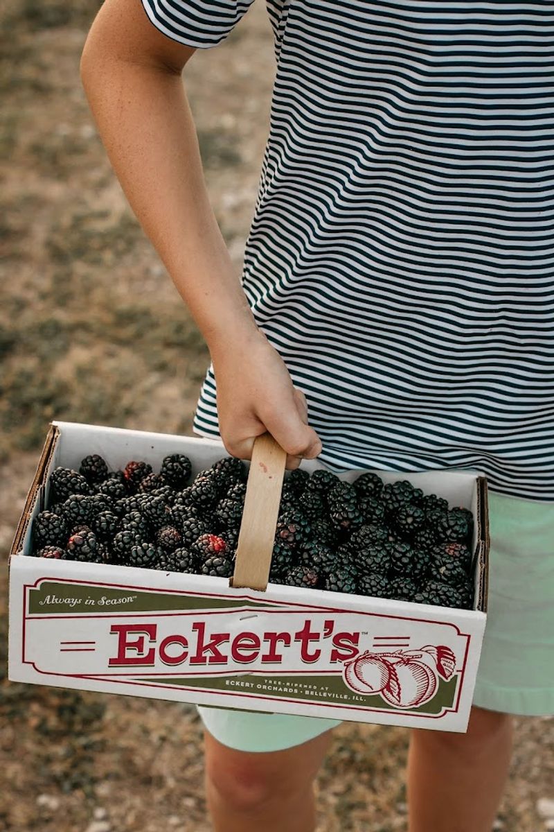 Eckert's Farm — Belleville, Illinois