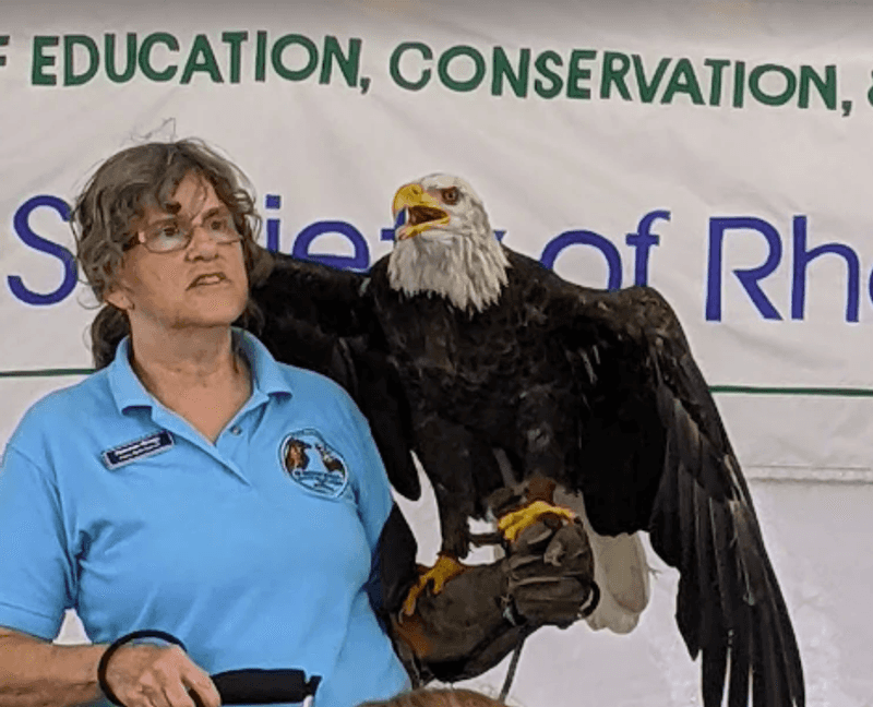Educational Programs: Learning That Goes Beyond the Exhibits Educational Programs: Learning That Goes Beyond the Exhibits