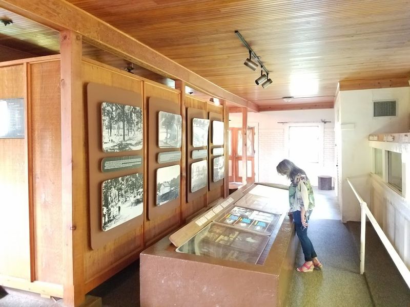 Educational Programs for Every Age Group