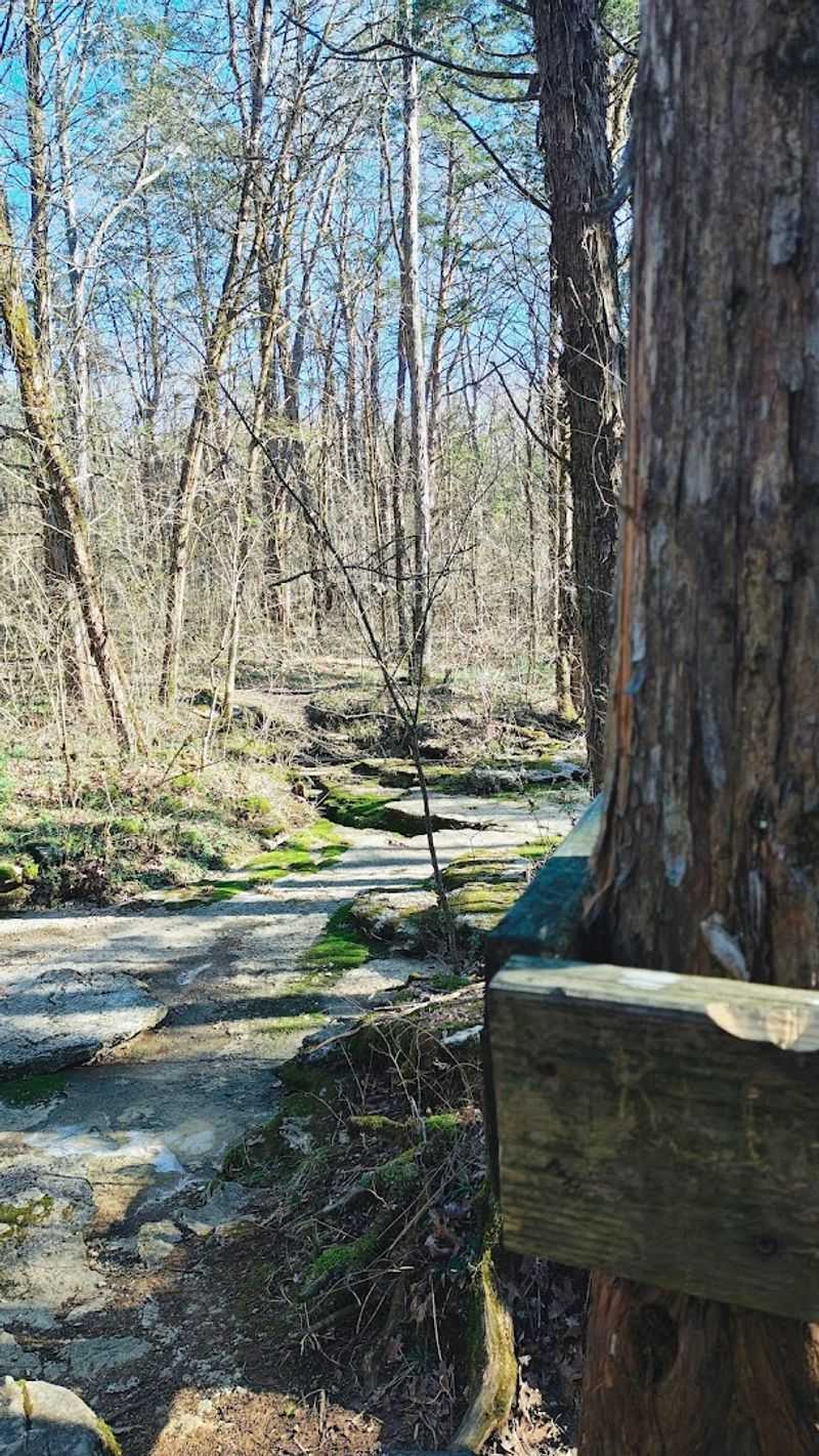 Eight Miles Of Trails Worth Every Step Eight Miles Of Trails Worth Every Step