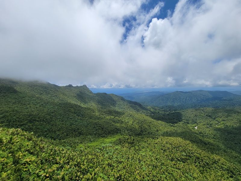 El Yunque National Forest - Puerto Rico
